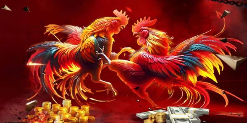 da-ga-sv168-au88-gioi-thieu