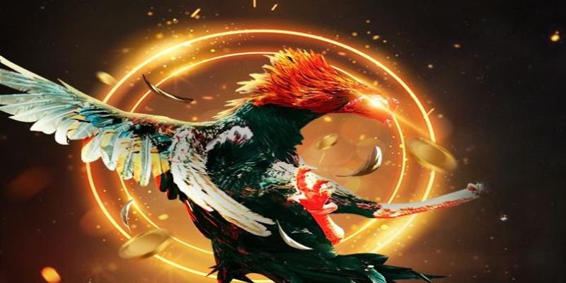 da-ga-sv168-au88-meo-choi