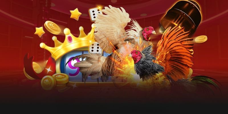 da-ga-sv366-au88-dịch-vu