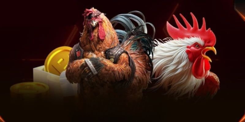 da-ga-sv366-au88-gioi-thieu