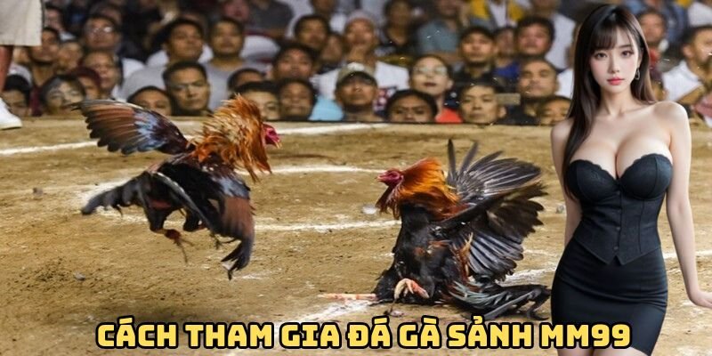 cach-tham-gia-da-ga-mm99