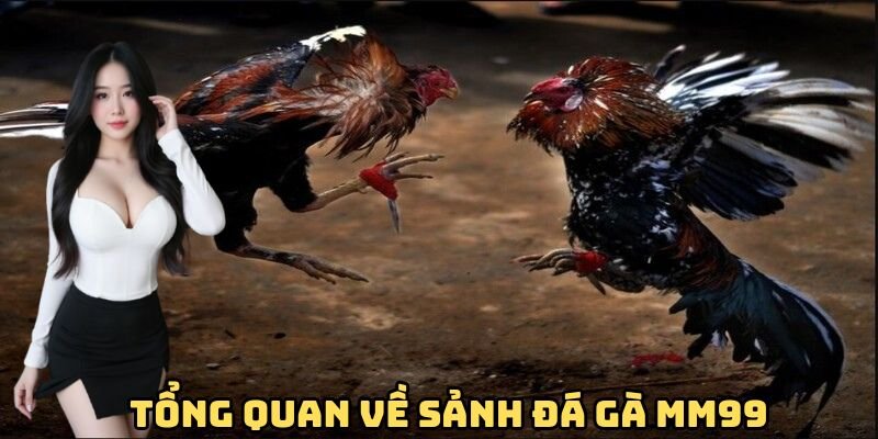 tong-quan-ve-sanh-da-ga-mm99