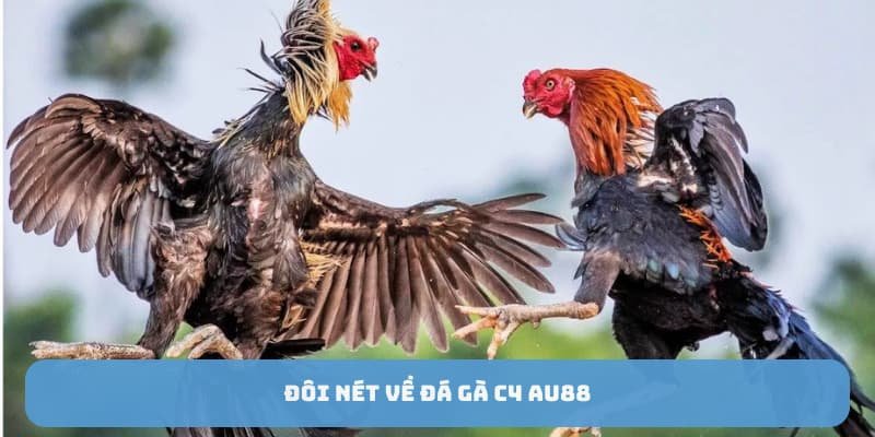 da-ga-c4-au88-doi-net